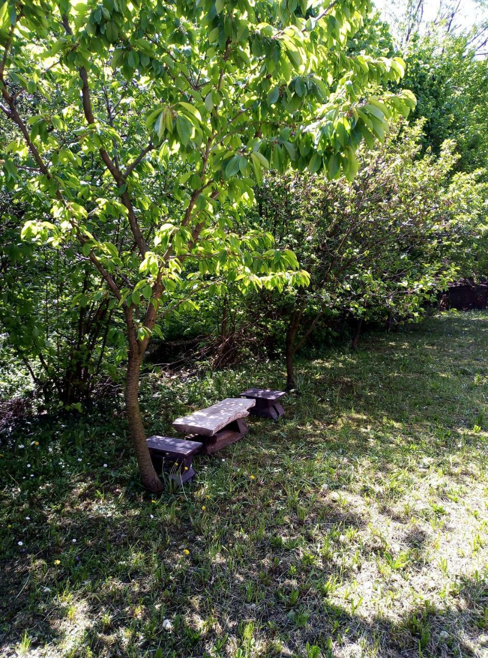 Apartman Miljkovic Arandjelovac Εξωτερικό φωτογραφία